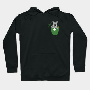 Hay! Bunny in a Pocket Hoodie